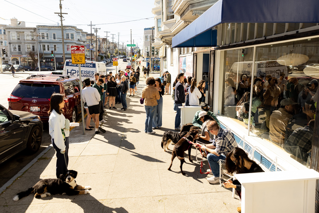 A long line of people stretches along a sunny sidewalk by a blue-awning café, with several dogs lying or standing near their owners.